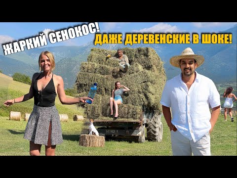 Видео: СОЧНЫЙ СЕНОКОС В ДЕРЕВНЕ! ВСЕ ПОШЛО ПО ОДНОМУ МЕСТУ! Деревенские крутят у виска! #деревня в Турции