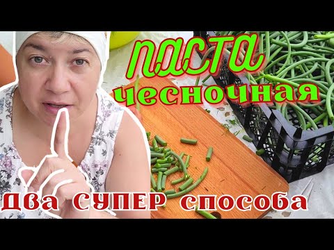 Видео: ЧЕСНОЧНЫЕ стрелки на зиму, СУПЕР ДВА способа