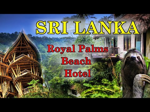 Видео: Royal Palms Beach Hotel. Лучший отель на Шри Ланке. Sri Lanka 2022.