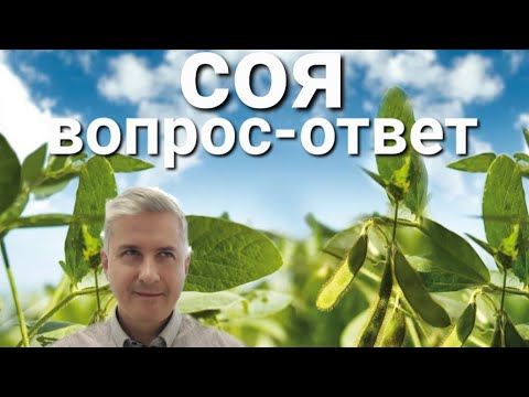 Видео: СОЯ: вопрос-ответ.