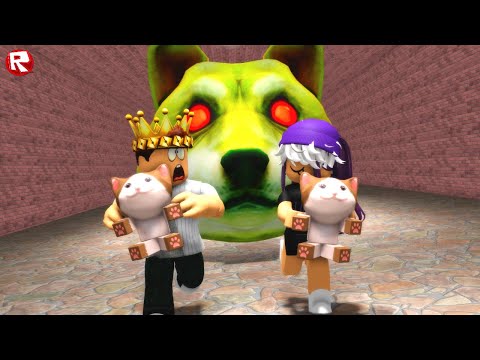 Видео: МЫ ЛУЧШИЕ СПАСАТЕЛИ КОТЯТ в роблоксе | Doge Head Escape roblox