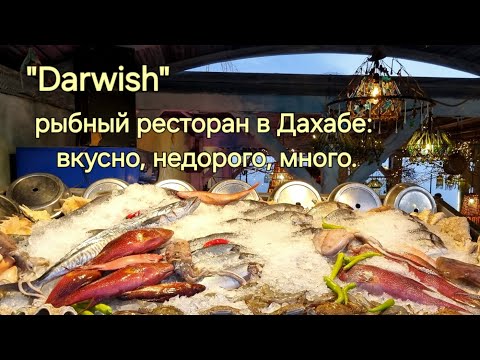 Видео: Египетские каникулы. В поисках рыбного ресторана. Дахаб. Этюды. 2024-2025 год.