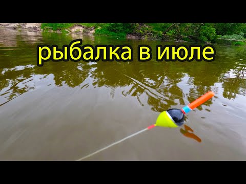 Видео: ЗАБРАЛСЯ В ДЕБРИ И РЫБА ПОПЁРЛА ! Рыбалка 3 июля на поплавок!