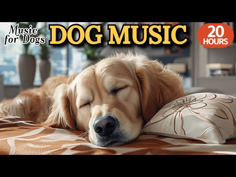Видео: 24 часа успока-ивающей музыки для собак🐶💖Чтобы щенок спал всю ночь🦮🎵Колыбельная для собак
