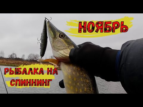 Видео: Рыбалка поздней осенью.