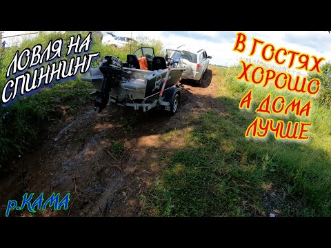 Видео: Рыбалка на СПИННИНГ. ЛОВИ всех рыбов подряд!