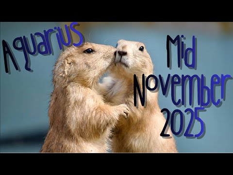 Видео: Водолей 🍂ТЫ СИЛЬНЫЙ И ОЧЕНЬ ЖЕЛАННЫЙ🥰 ПОЯВЛЯЮТСЯ НОВЫЕ ВОЗМОЖНОСТИ😁👍