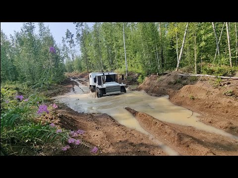 Видео: Покатушки на вездеходе