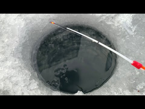 Видео: ПОДНЯЛО КИВОК У РУСЛА...ЭТО ОНО! ДАВИТ УДОЧКУ на ПОПЛАВОК и КИВОК. Зимняя рыбалка 2024