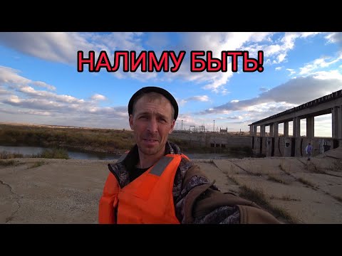 Видео: Открытие. Осень, Нура, налим.