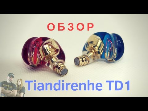 Видео: Обзор кастомных  наушников Tiandirenhe TD1