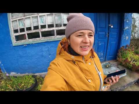 Видео: Маю стару хату в селі, малинник і тяжко працюю, щоб заробити гроші в селі 