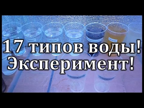 Видео: Эксперимент! Всхожесть семян в 17 типах воды!