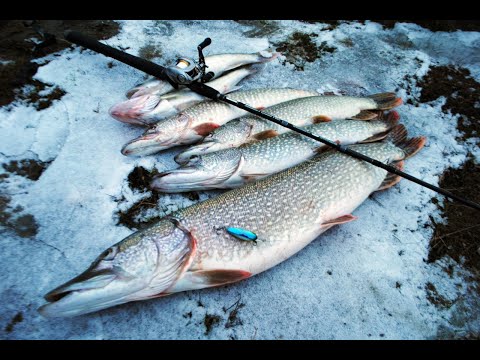 Видео: Очень уловистые воблеры из Китая! Мифы и реальность 2022!