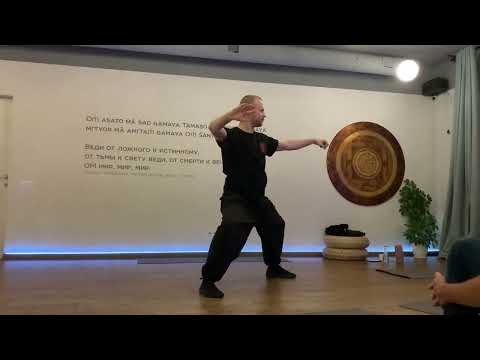 Видео: 24 формы Ченши синьи Хуньюань тайцзи, Антон Антонов, 10.11.2024