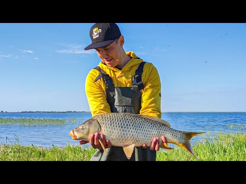 Видео: Ловля карпа в период нереста озеро Узунколь спортивная зона С
