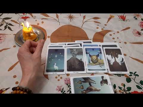 Видео: Новые отношения.