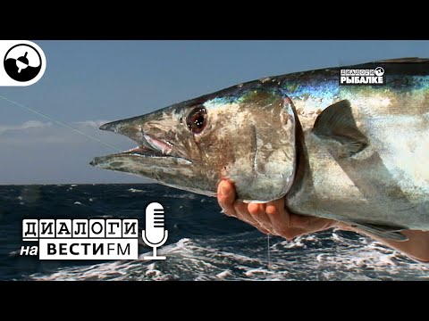 Видео: Морская рыбалка. Королевская макрель. Кабо-Верде | Диалоги на Вести ФМ