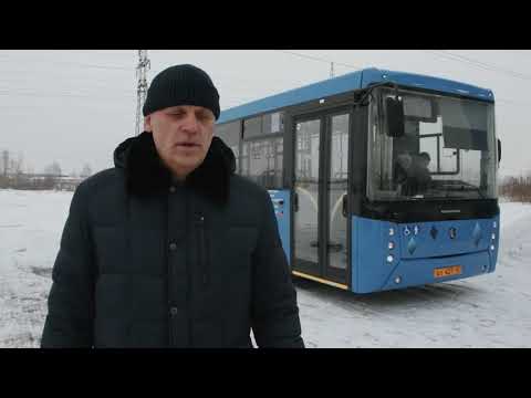Видео: Новые автобусы