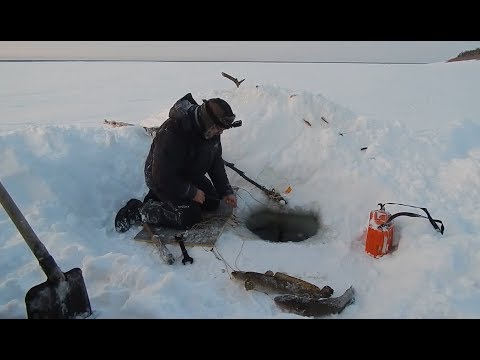 Видео: Отличная РЫБАЛКА и просто лучший день..19.12.2019