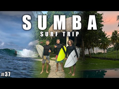 Видео: СЕРФ ТРИП НА ОСТРОВ СУМБА | СЕРФИНГ НА ПУСТЫХ СПОТАХ | ВЛОГ 37