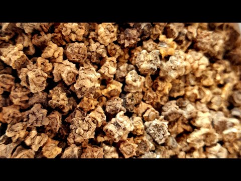 Видео: ПЕРЕВІРТЕ СХОЖІСТЬ БУРЯКА за 1 хвилину! ДІЄВИЙ СПОСІБ!