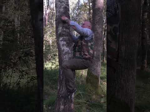 Видео: В ліс по Чагу!