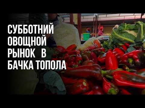 Видео: Субботний рынок в Бачка Топола. ЦЕНЫ на овощи. Готовимся к Новому году.