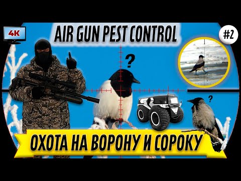 Видео: Охота на Ворону и Сороку №2 - 2024. Нам нужен Вездеход! FX M3 + Леший 2. Кроухантинг. Jack Hunter