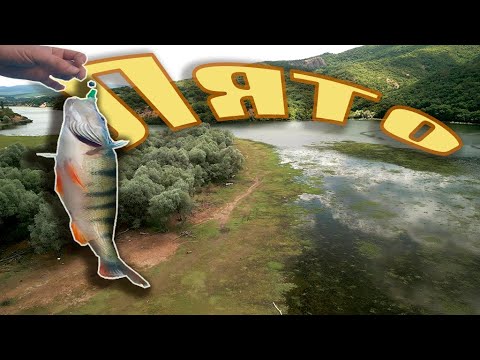 Видео: Лакомият разбойник.Юлски летен излет.