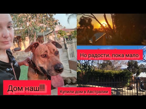 Видео: Дом наш!! Это случилось. Купили дом в Австралии. #жизньвавстралии #австралия