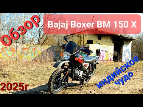 Видео: Обзор Bajaj Boxer BM 150 X Бюджетный мотоцикл для новичка, стоит ли брать Баджаж Боксер в 2025 году