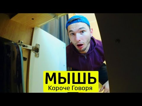 Видео: КОРОЧЕ ГОВОРЯ, ЗАВЕЛАСЬ МЫШЬ - ТимТим.