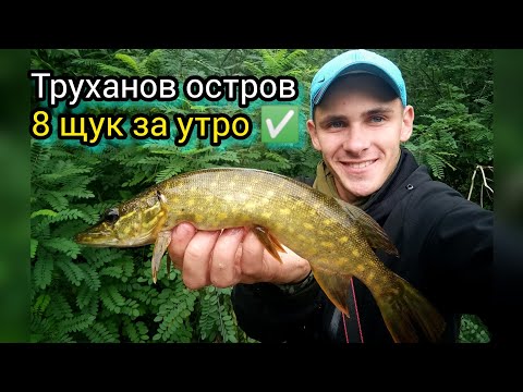 Видео: Рыбалка на Трухановом острове. НЕРЕАЛЬНО МНОГО ЩУКИ в центре  Киева.