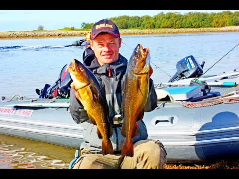 Видео: Ловля крупной Трески в Белом море! Рыбалка на пелагический Джиг. Часть 2