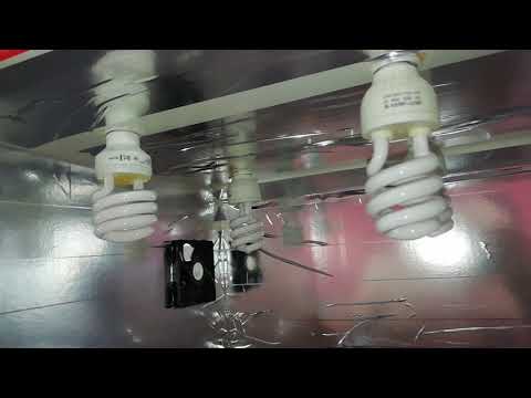 Видео: Гроубокс  за копейки для любой ращухи!