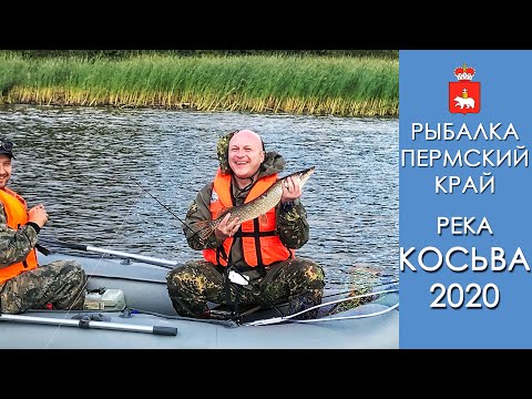 Видео: Речной монстр - горбатая щука! Рыбалка на Косьве Пермский край