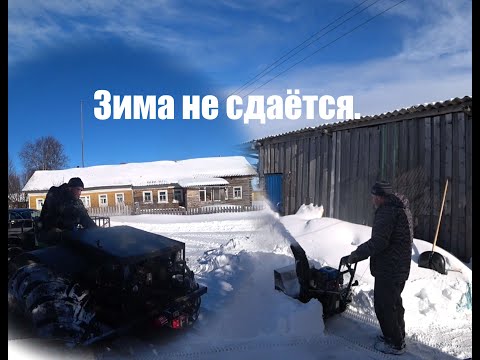 Видео: Зима не сдаётся, снова снег.