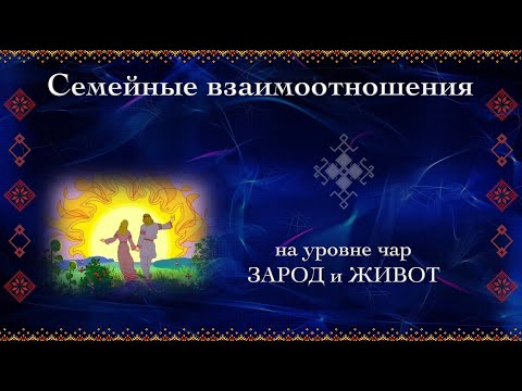 Видео: Семейные взаимоотношения на уровне чар ЗАРОД и ЖИВОТ