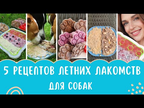 Видео: 5 БЫСТРЫХ ЛЕТНИХ РЕЦЕПТОВ ДЛЯ ЛИЗАТЕЛЬНОГО КОВРИКА | Замороженные Вкусняшки Для Собак | МОРОЖЕНОЕ!!!