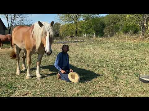 Видео: Вы соль земли?
