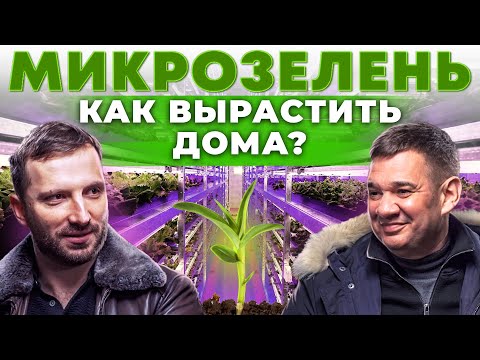 Видео: Как открыть ферму микрозелени? Кому продать урожай? Ситиферма на гидропонике | Андрей Даниленко