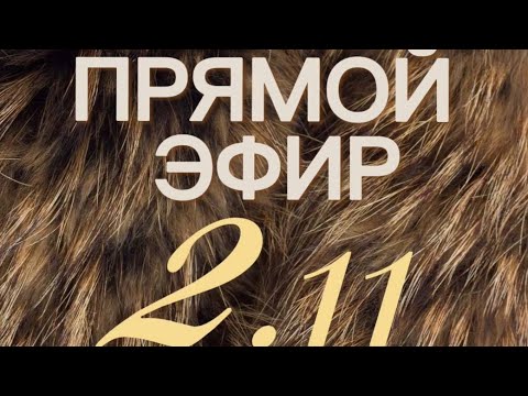 Видео: FIDJI online  Для ЗАКАЗА пиши в WhatsApp +7 995 251-99-08