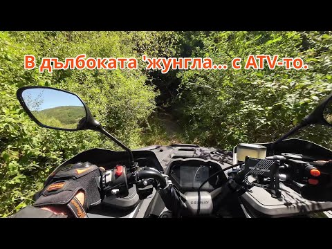 Видео: ATV Segway Snarler AT6L 2024 - първа разходка в гората :)