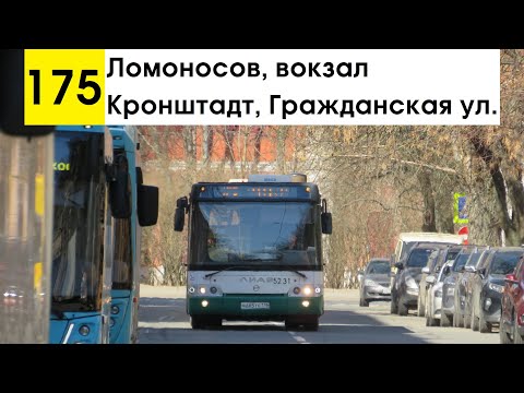 Видео: Автобус 175 "Кронштадт, Гражданская ул. - Ломоносов, вокзал" (смена перевозчика)