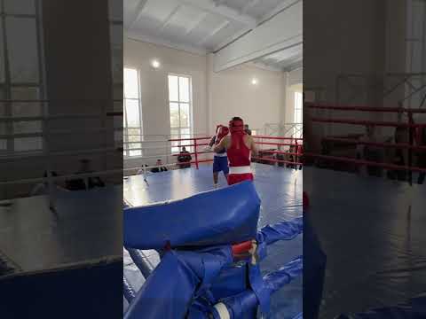 Видео: Кушкупир саралаш чемпионати