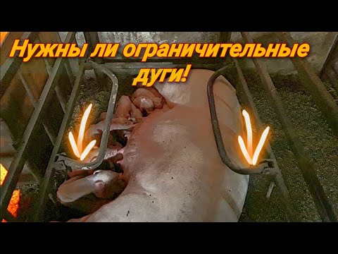 Видео: Ограничители в станке для опороса!