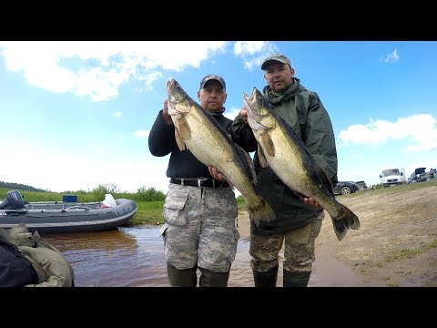 Видео: Ловля крупных судаков на Рыбинском Водохранилище .