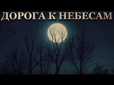 Видео: Дорога к небесам. Когда ты на охоте, возможно, кто-то охотится на тебя. Две истории про Ведьм.