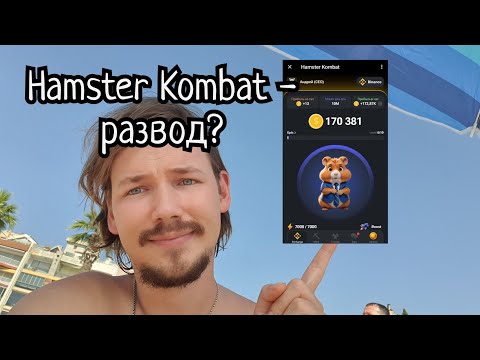 Видео: Hamster Kombat это развод или нет?